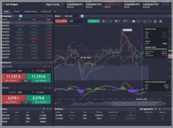 PRIMEXBT offer MT4, MT5, and WebTrader